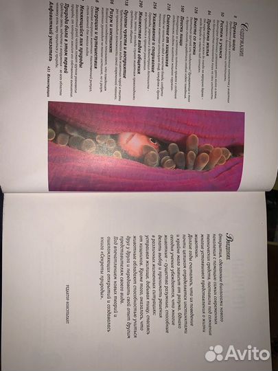 Секреты природы. Удивительный мир животных и расте