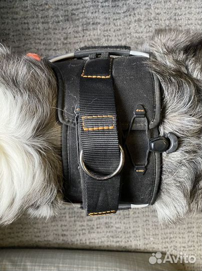 Шлейка для собаки