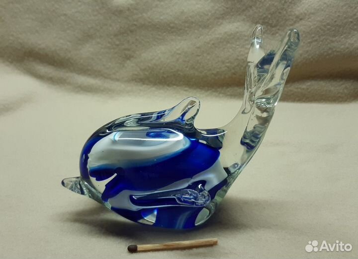 Дельфин, рыба-стекло