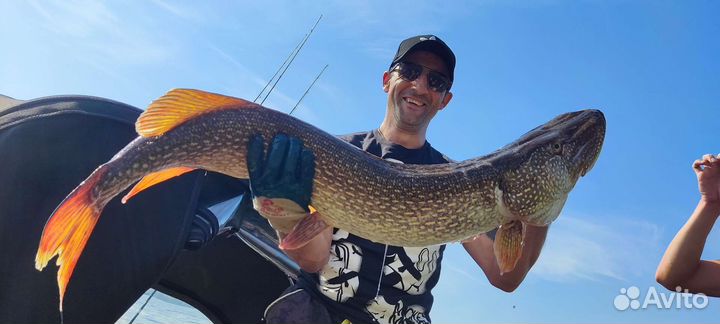 Организация рыбалки