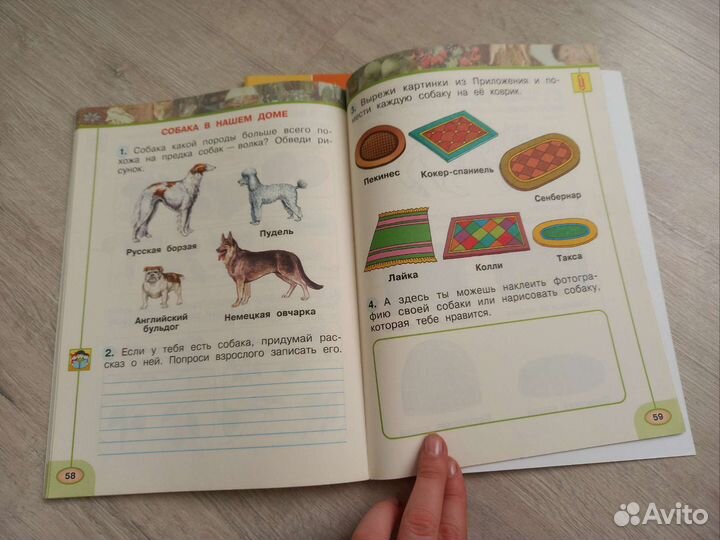 Окружающий мир 1 класс Перспектива