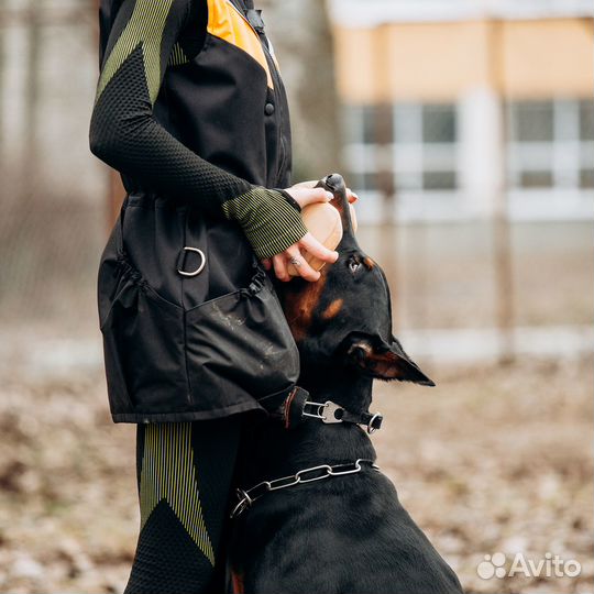 Кинолог. Дрессировка собак в Воронеже