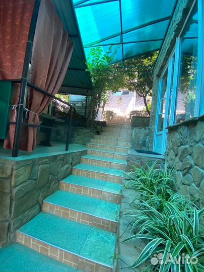 Отдых в Сочи