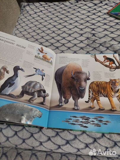 Суперэнциклопедия животных