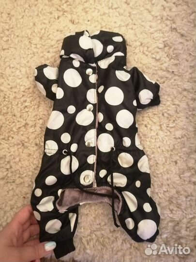 Комбинезон для собаки