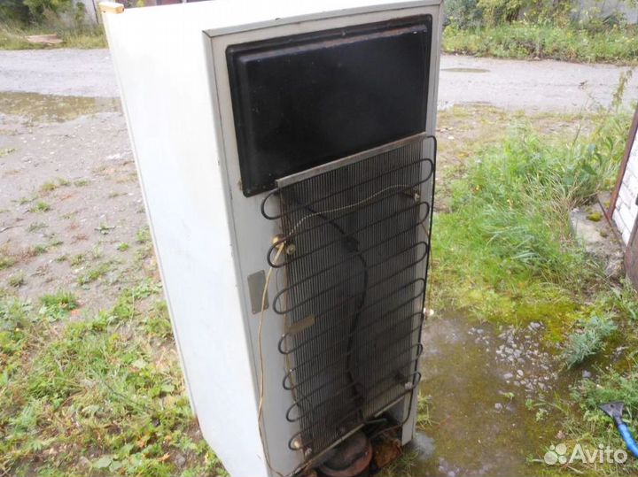 Холодильник Бирюса 6