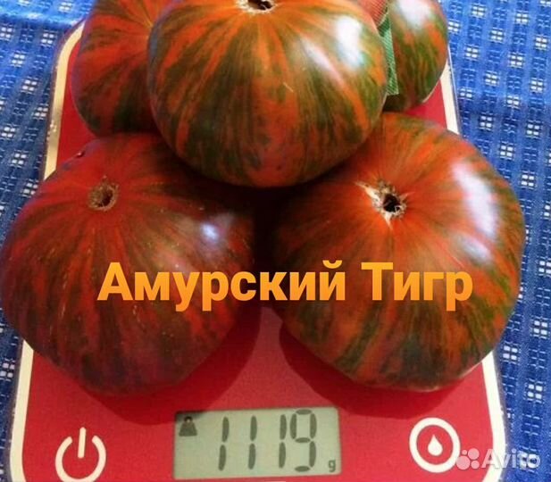 Семена томатов / коллекция