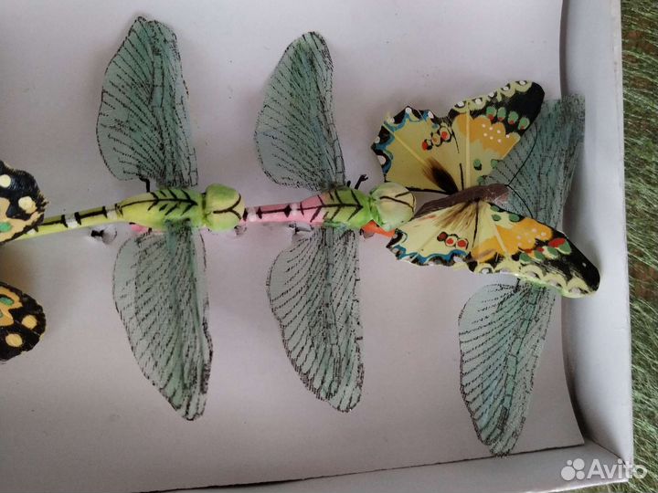 Флористика