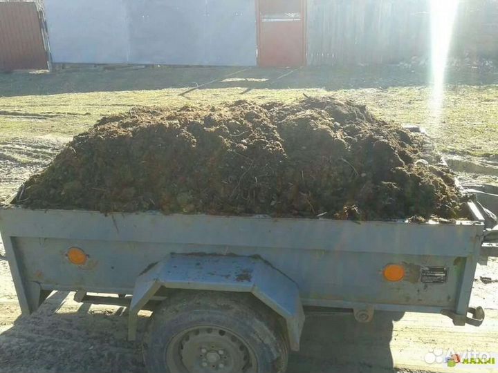 Конский навоз