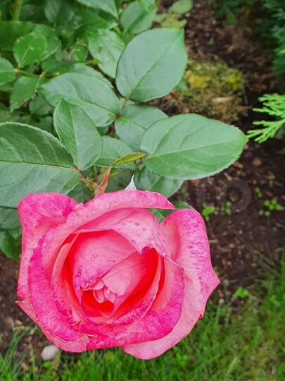 Дача 80 м² на участке 6,3 сот.