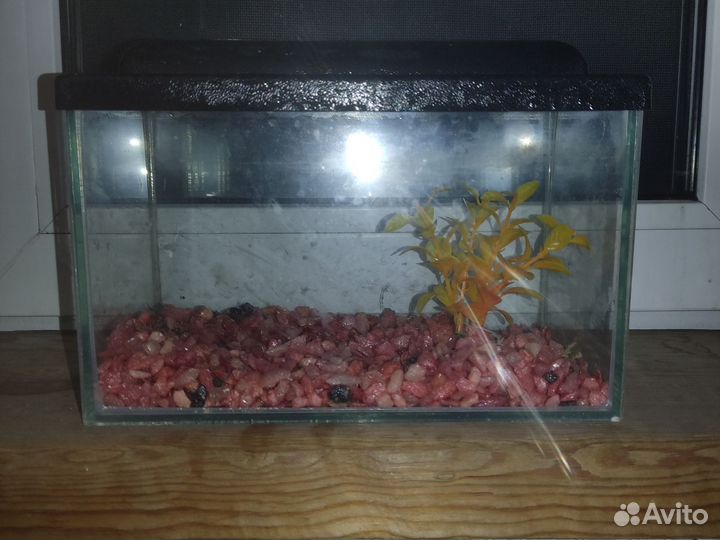Аквариум