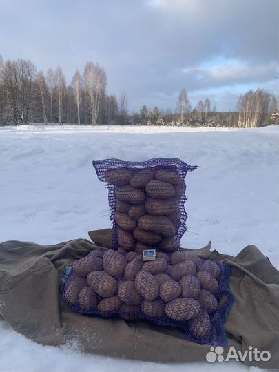 Продукты питания