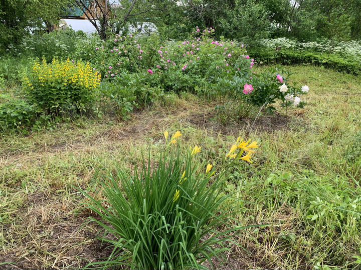 Дача 48 м² на участке 6,5 сот.