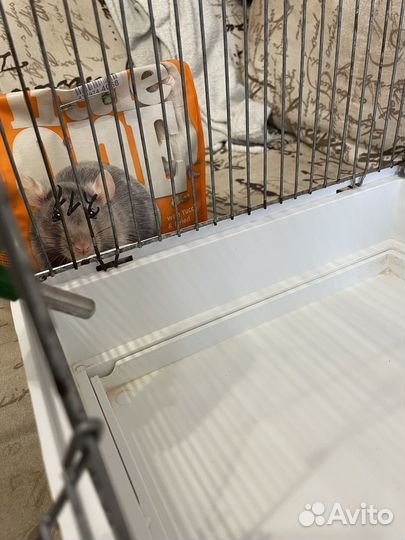 Клетка для грызунов крыс