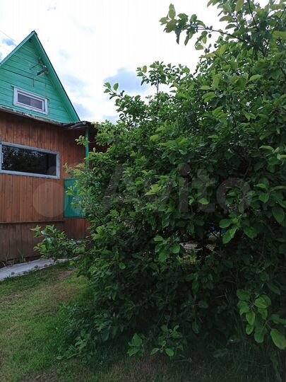 Дача 20 м² на участке 7 сот.