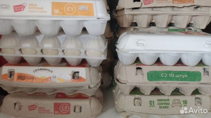 Яйцо мускусной утки на инкубатор