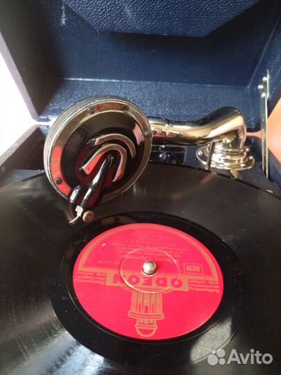 Патифон darling