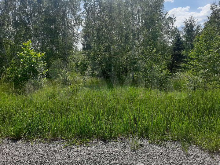 Участок 12 сот. (ИЖС)