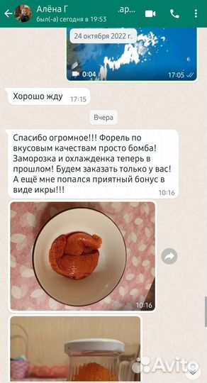 Живая рыба форель