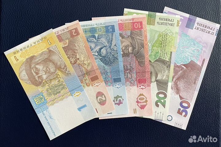 Набор банкнот Украины