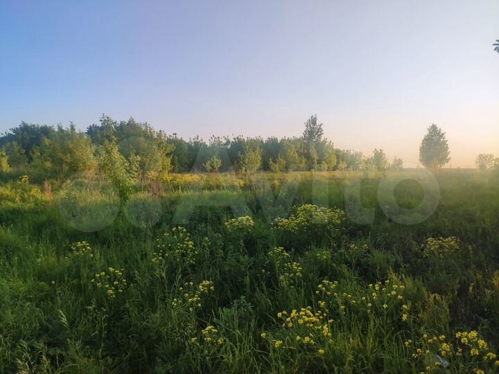 Участок 20,8 сот. (ИЖС)