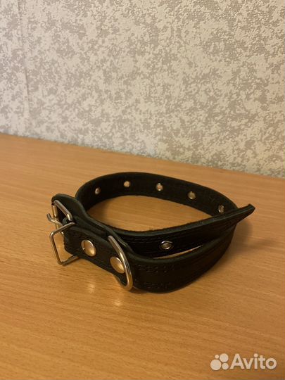 Ошейник для собак