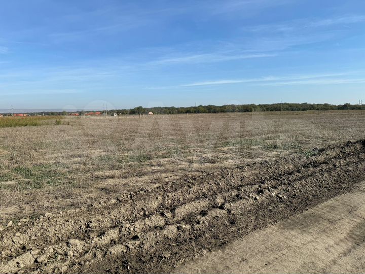 Участок 6 сот. (ИЖС)