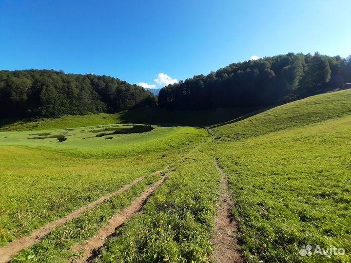 Индивидуальные экскурсии Сочи, Абхазия