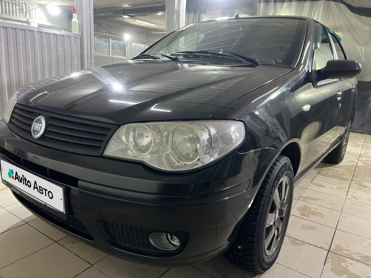 FIAT Albea: фото владельца