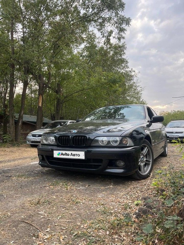 BMW 5 серия: фото владельца