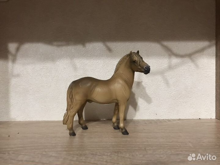 Лошади collecta