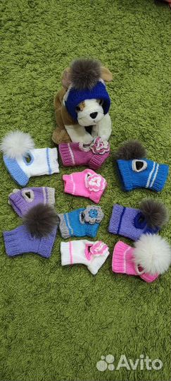 Шапка для собаки