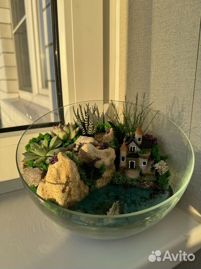 Флорариум с суккулентами