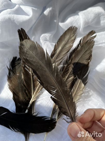 Перья для творчества