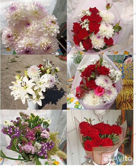 Живые цветы букеты