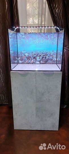 Новый аквариум 