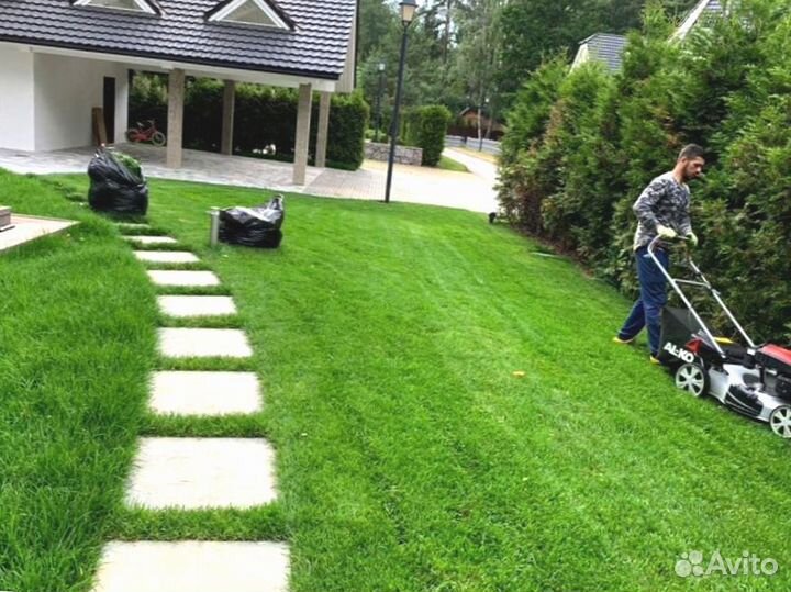 Рулонный газон