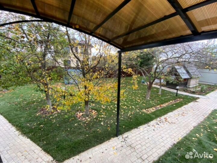 Рулонный газон 