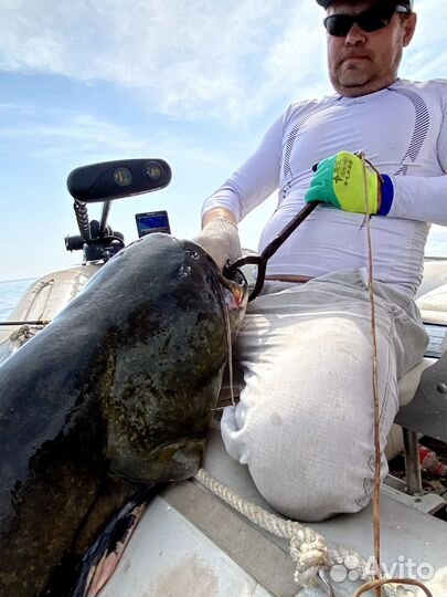 Трофейная рыбалка на сомов и судаков