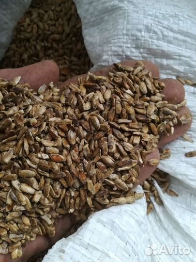 Жмых, жмых чёрного тмина, фуз - паста подсолничный