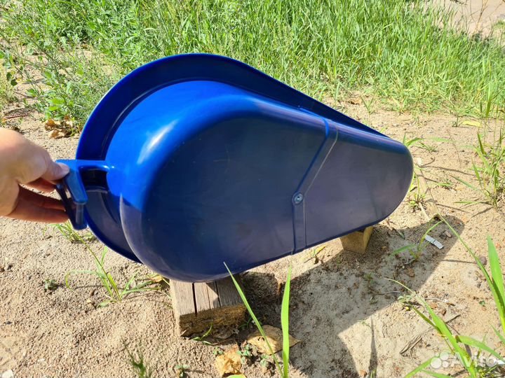 Утка медицинская