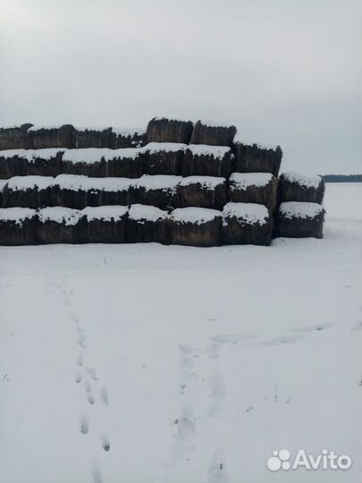 Сено в рулонах