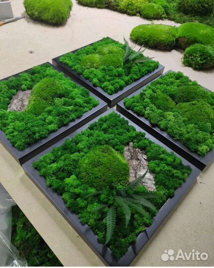 Фитокартина панно из мха мох стабилизированный фит