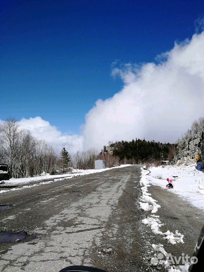 Заказ микроавтобуса, Автобуса