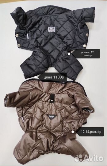 Новая Одежда для собак мелких пород glamcat