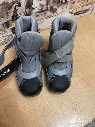 Беговые лыжи fischer