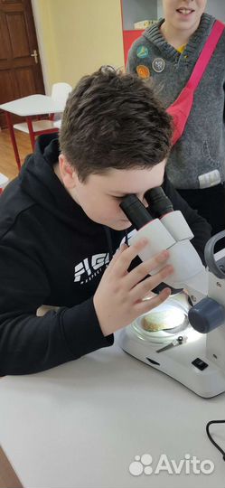 Подготовка к ОГЭ