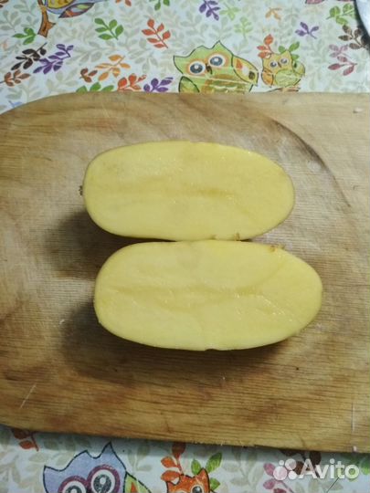 Картофель галла, королева анна с доставкой