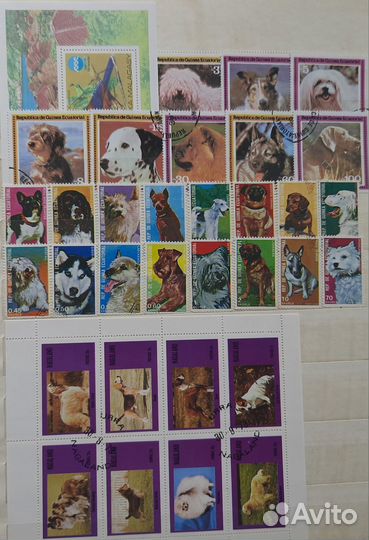 Почтовые марки мира