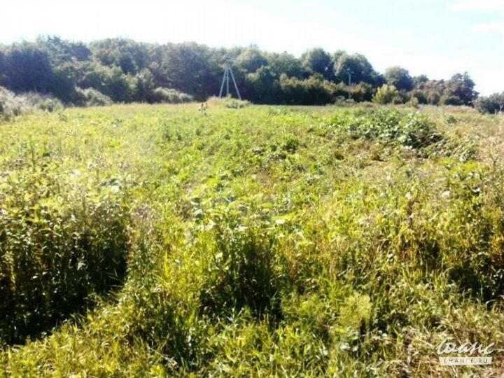 Участок 8 сот. (ИЖС)